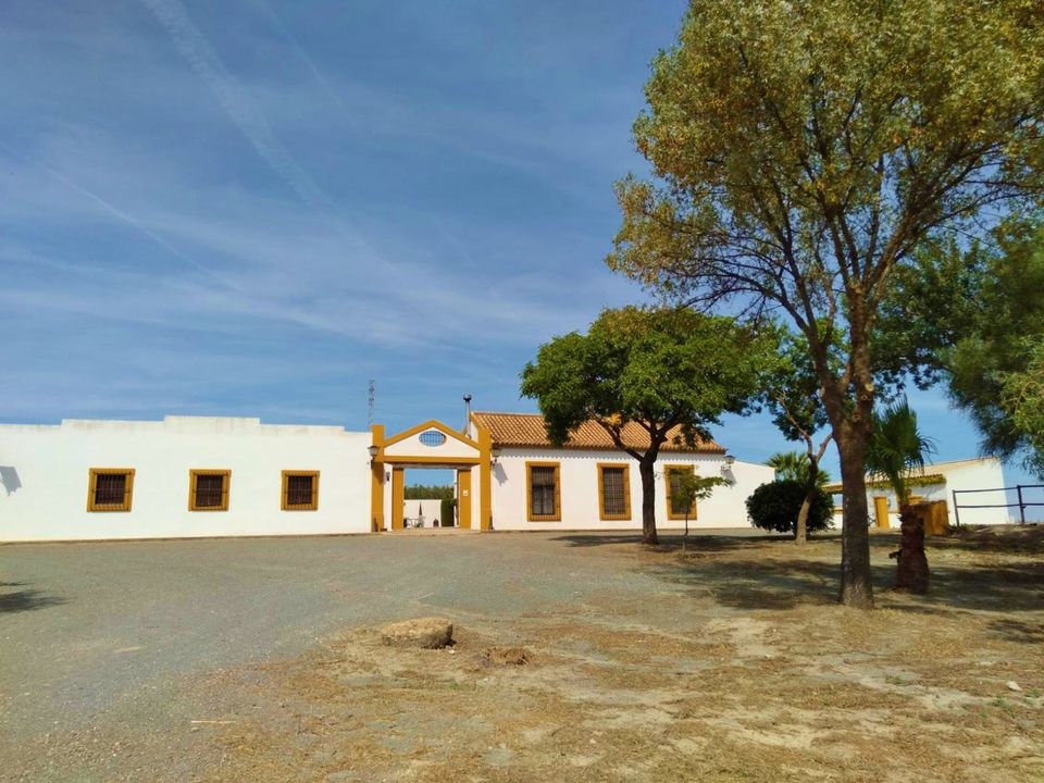 Cortijo i Moron De La Frontera, Sevilla - foto 3